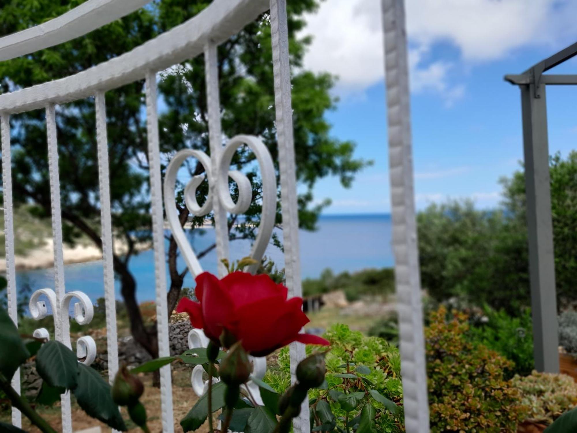 Moja Posebna Kuca Na Osami Kraj Mora Villa Vis Exterior foto