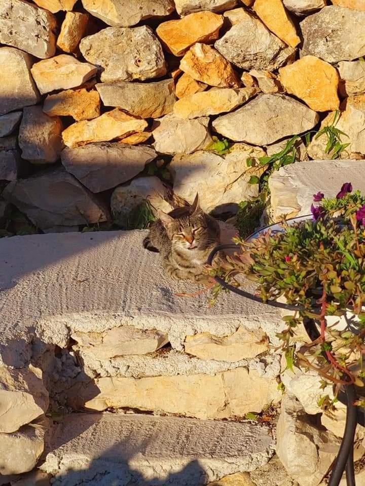 Moja Posebna Kuca Na Osami Kraj Mora Villa Vis Cameră foto